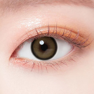 Lenstown Eleva Beige 엘레바 베이지