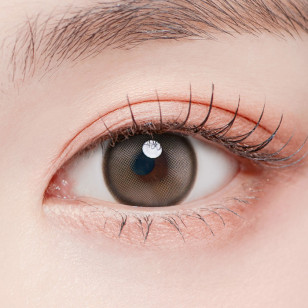 Lenstown Back to Basic DOLCEBABA 백투베이직 돌체바바 애쉬베이지 Ash Beige