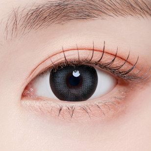 Lenstown Romantea Smoky Gray 로맨티스모키 스모키그레이