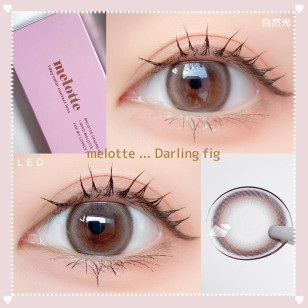 melotte Darling fig メロット ダーリンフィグ