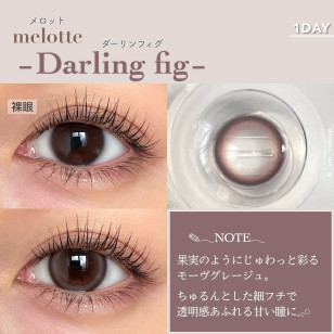 melotte Darling fig メロット ダーリンフィグ