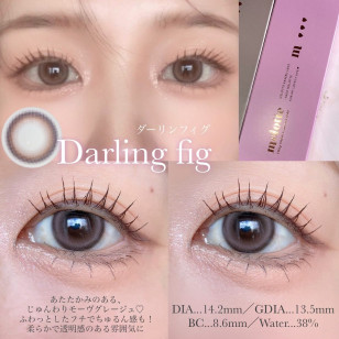 melotte Darling fig メロット ダーリンフィグ