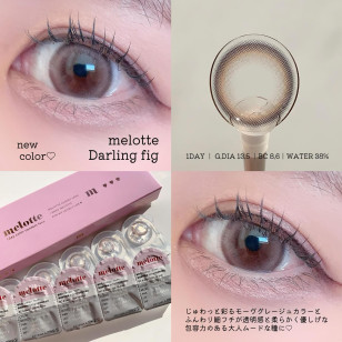 melotte Darling fig メロット ダーリンフィグ