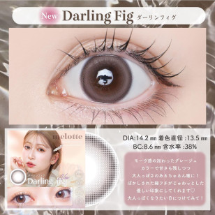 melotte Darling fig メロット ダーリンフィグ