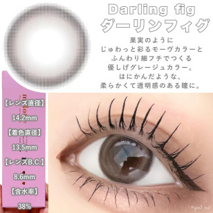 melotte Darling fig メロット ダーリンフィグ