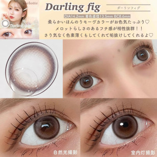 melotte Darling fig メロット ダーリンフィグ