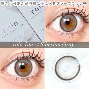 Rain 1Day Siberian Gray レイン シベリアングレー