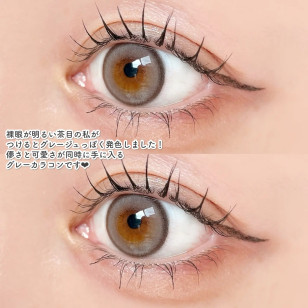 Rain 1Day Siberian Gray レイン シベリアングレー