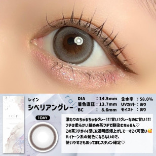 Rain 1Day Siberian Gray レイン シベリアングレー