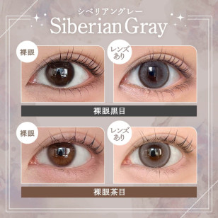 Rain 1Day Siberian Gray レイン シベリアングレー
