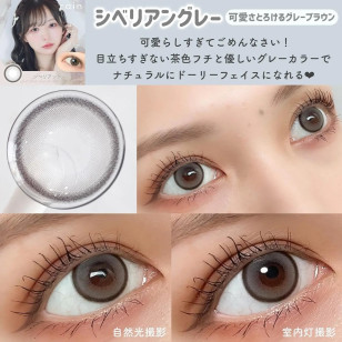 Rain 1Day Siberian Gray レイン シベリアングレー