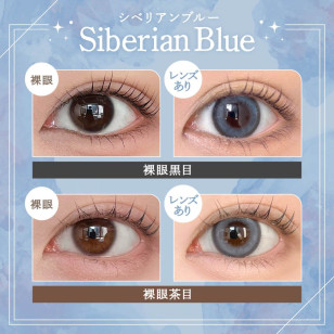 Rain 1Day Siberian Blue レイン シベリアンブルー