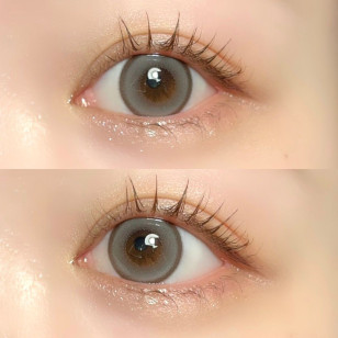 Rain 1Day Siberian Gray レイン シベリアングレー