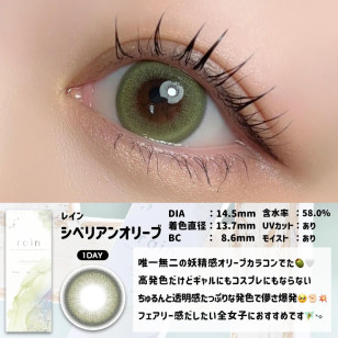 Rain 1Day Siberian Olive レイン シベリアンオリーブ