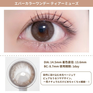 EverColor 1day Natural MoistLabelUV Tear Muse 20片裝 エバーカラーワンデーナチュラルモイストレーベルUV ティアーミューズ