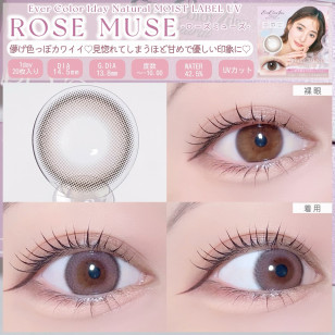 EverColor 1day Natural MoistLabelUV Rose Muse 20片裝 エバーカラーワンデーナチュラルモイストレーベルUV ローズミューズ