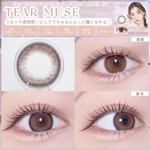 EverColor 1day Natural MoistLabelUV Tear Muse 20片裝 エバーカラーワンデーナチュラルモイストレーベルUV ティアーミューズ