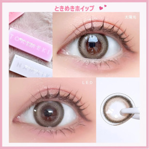 (ML1007)Milimore by Evercolor Tokimeki Whip エバーカラー ワンデー ミリモア ときめきホイップ