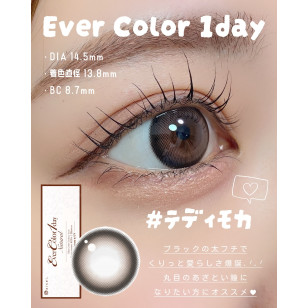 EverColor 1day Natural MoistLabelUV Teddy Mocha 20片裝 エバーカラーワンデーナチュラル テディモカ