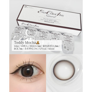 EverColor 1day Natural MoistLabelUV Teddy Mocha 20片裝 エバーカラーワンデーナチュラル テディモカ