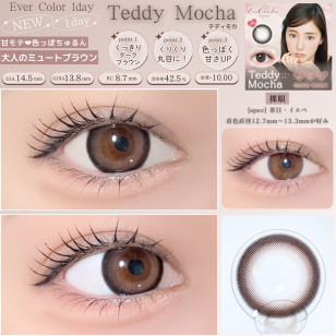 EverColor 1day Natural MoistLabelUV Teddy Mocha 20片裝 エバーカラーワンデーナチュラル テディモカ
