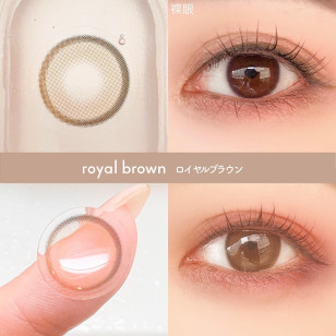 [Half Year]I-SHA Oriana Fit Royal Brown