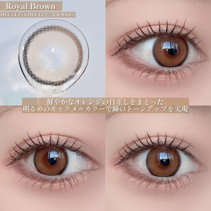 [Half Year]I-SHA Oriana Fit Royal Brown