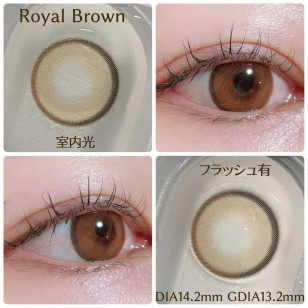 [Half Year]I-SHA Oriana Fit Royal Brown