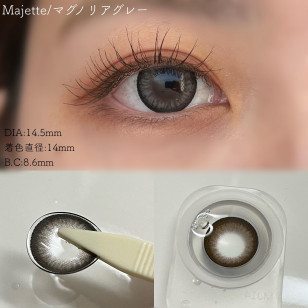 Majette 1 Day Magnolia Gray マジェット マグノリアグレー