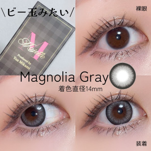 Majette 1 Day Magnolia Gray マジェット マグノリアグレー