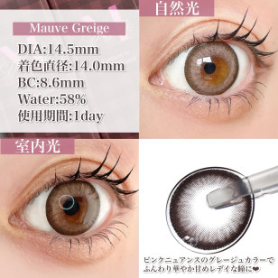 Majette 1 Day Mauve Greige マジェット モーヴグレージュ