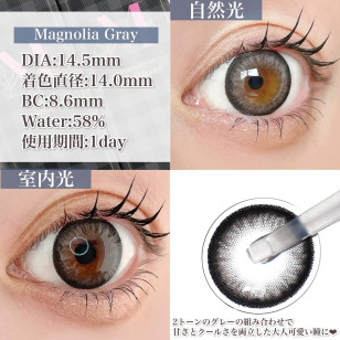 Majette 1 Day Magnolia Gray マジェット マグノリアグレー