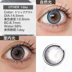 ØTHER 1 Day DRiPØUT (Other 1 Day DRiPOUT)