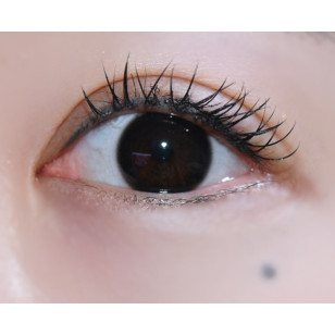 [1Day and 1Month]Lensme Nuo Black 누오 블랙