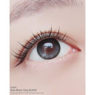 Olens 1Day Rain Black 레인 블랙(10P)