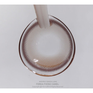 [1Month]FiPN Foraea Fixing Camel 피픈 픽싱 포레아 카멜