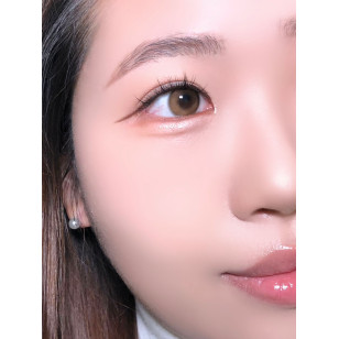 [1Day and 1Month]FiPN Brille Camel 피픈 브릴레 카라멜