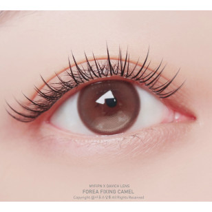 [1Month]FiPN Foraea Fixing Camel 피픈 픽싱 포레아 카멜