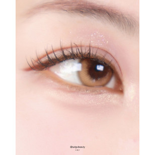 [1Day and 1Month]FiPN Brille Camel 피픈 브릴레 카라멜