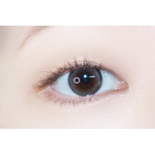 Lensrang Bebe Monthly Gray 베베 그레이
