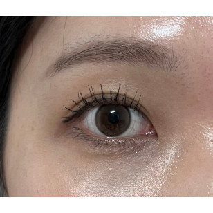 Lensrang Bebe Monthly Brown 베베 브라운