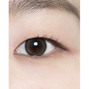 Lensrang Bebe Monthly Gray 베베 그레이