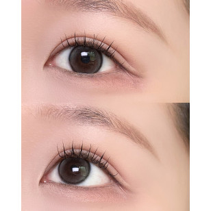 Lensrang Bebe Monthly Gray 베베 그레이